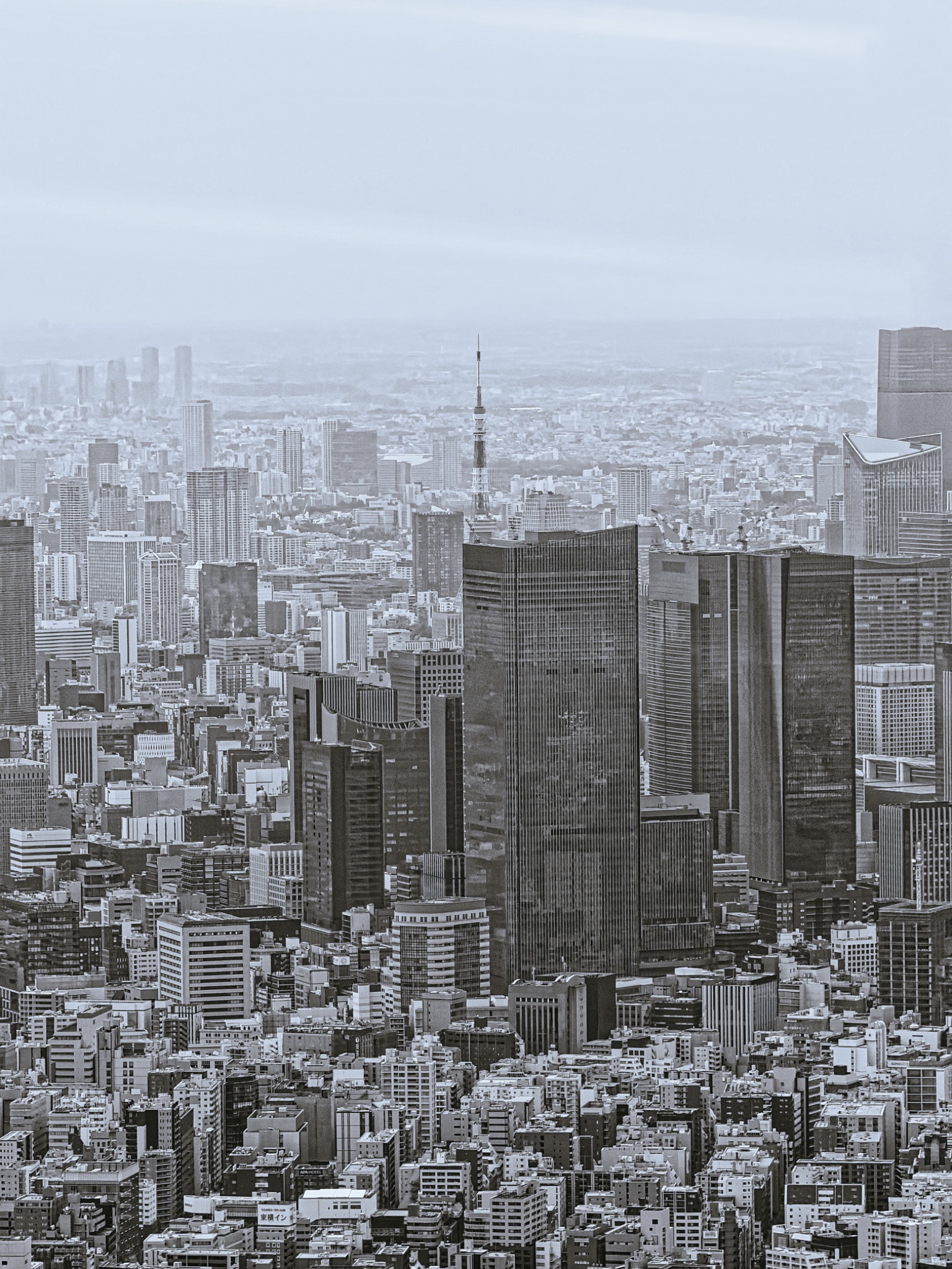 SkyTree 12