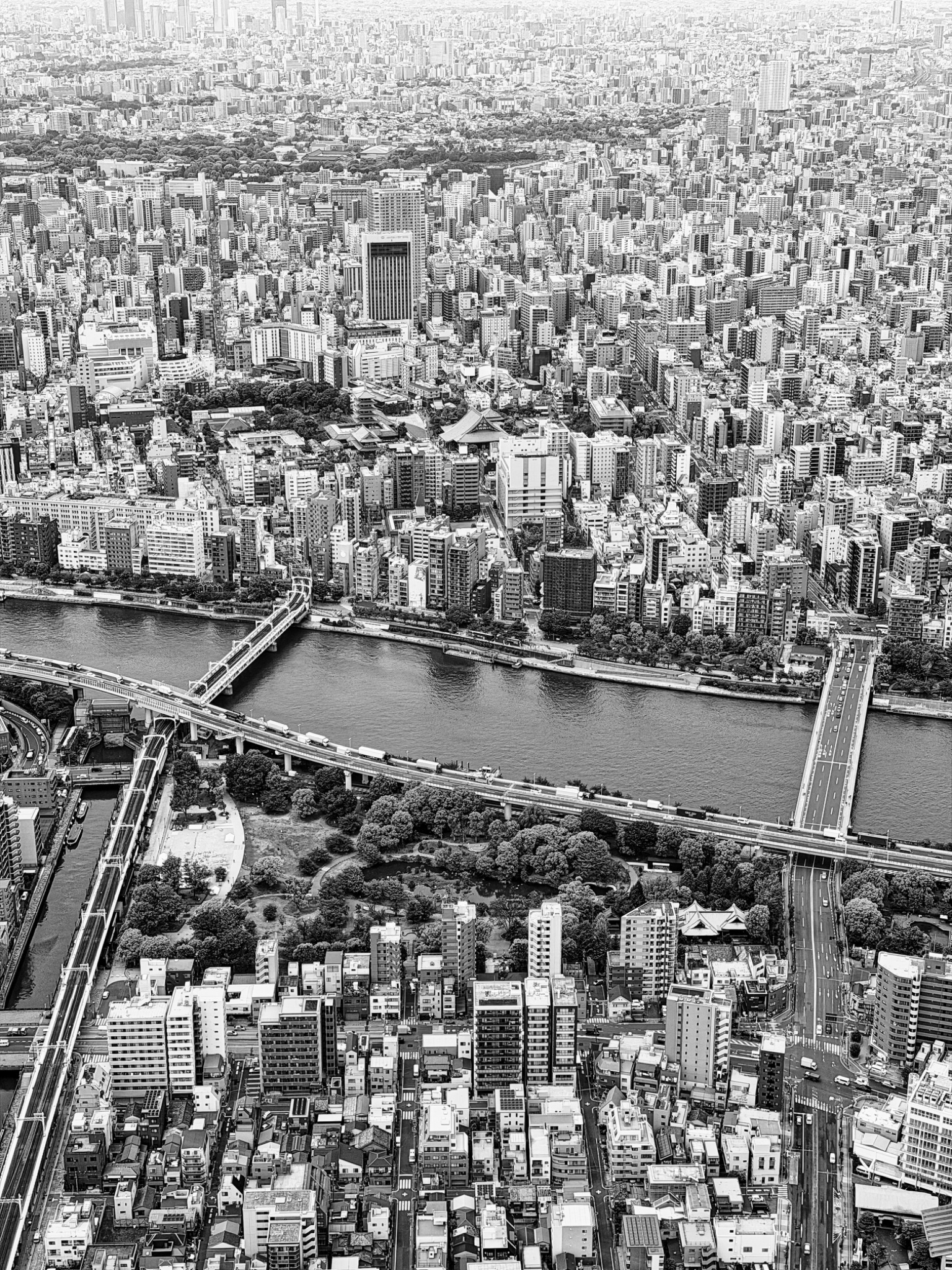 SkyTree 3