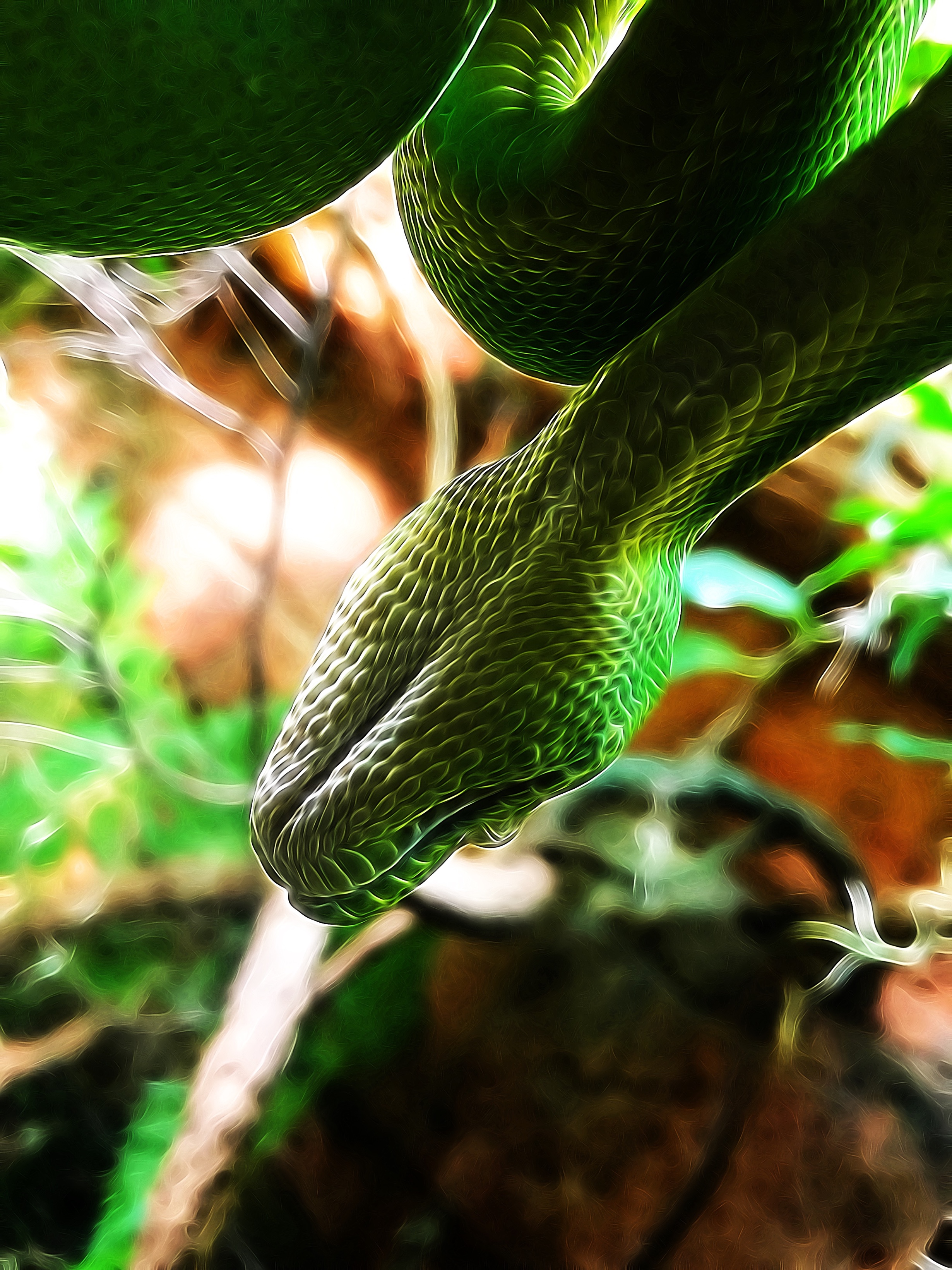Verde